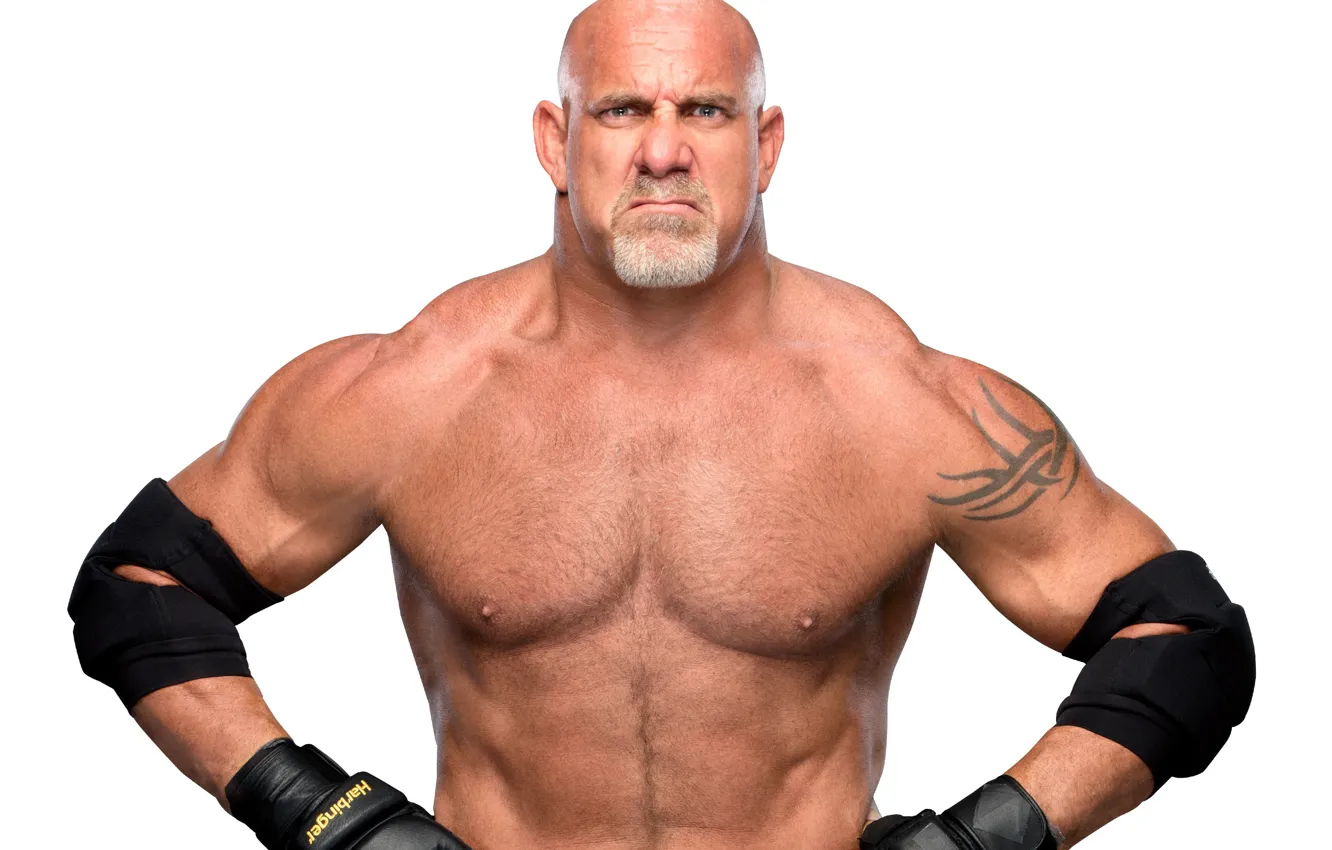 Photo wallpaper tattoo, bald, actor, actor, wrestler, tattoo, press, WWE