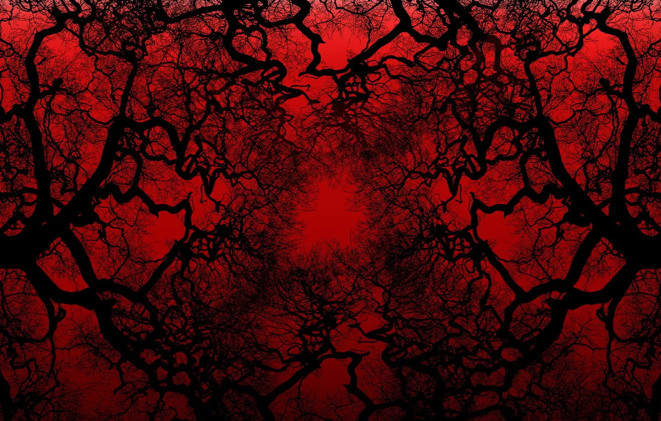 Photo wallpaper the sky, trees, branches