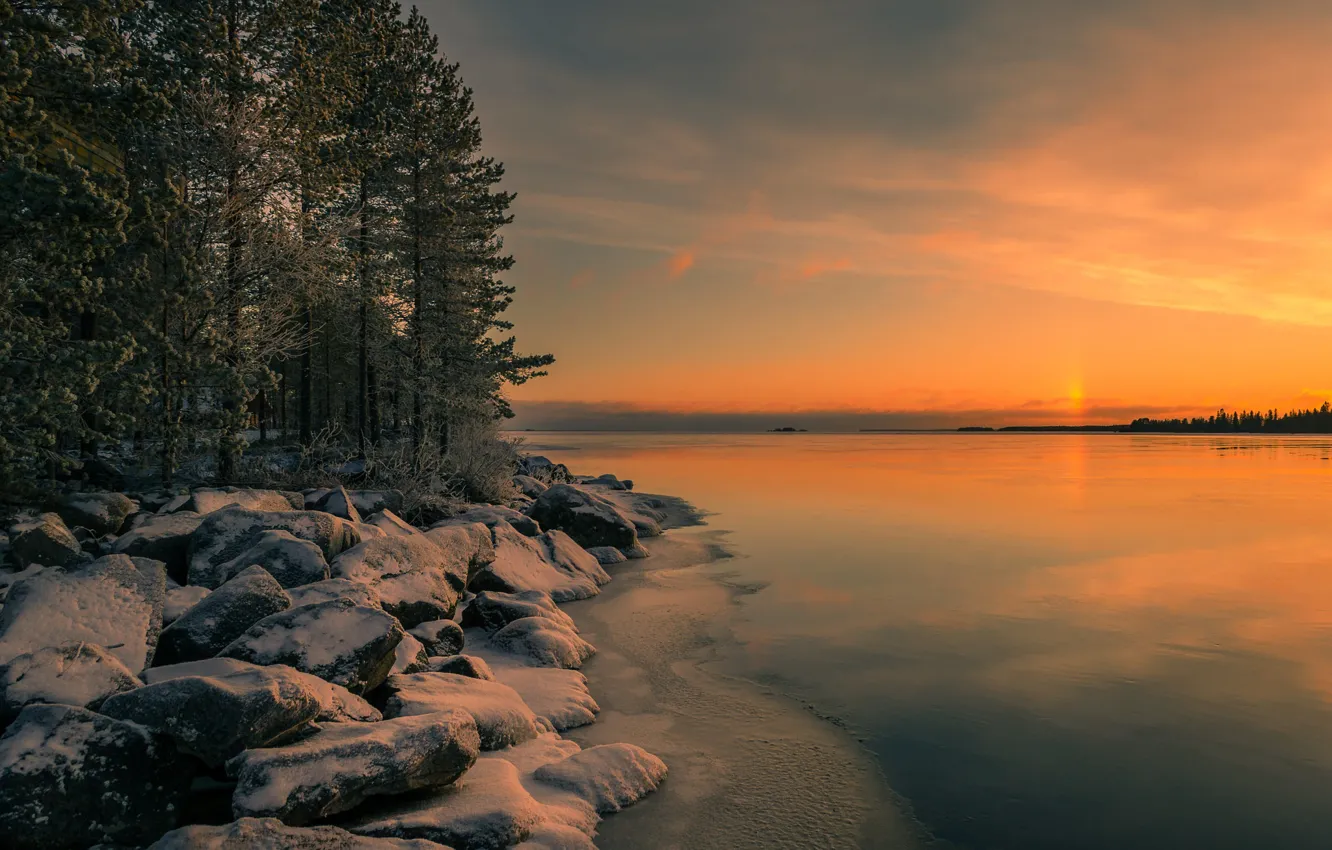 Photo wallpaper winter, forest, the sky, snow, trees, sunset, lake, stones