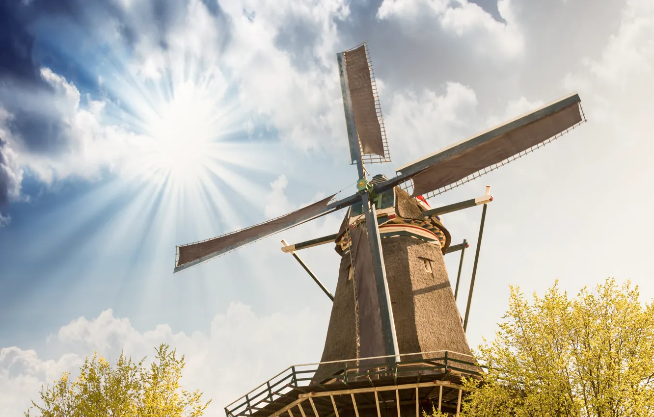 Photo wallpaper field, the sky, mill