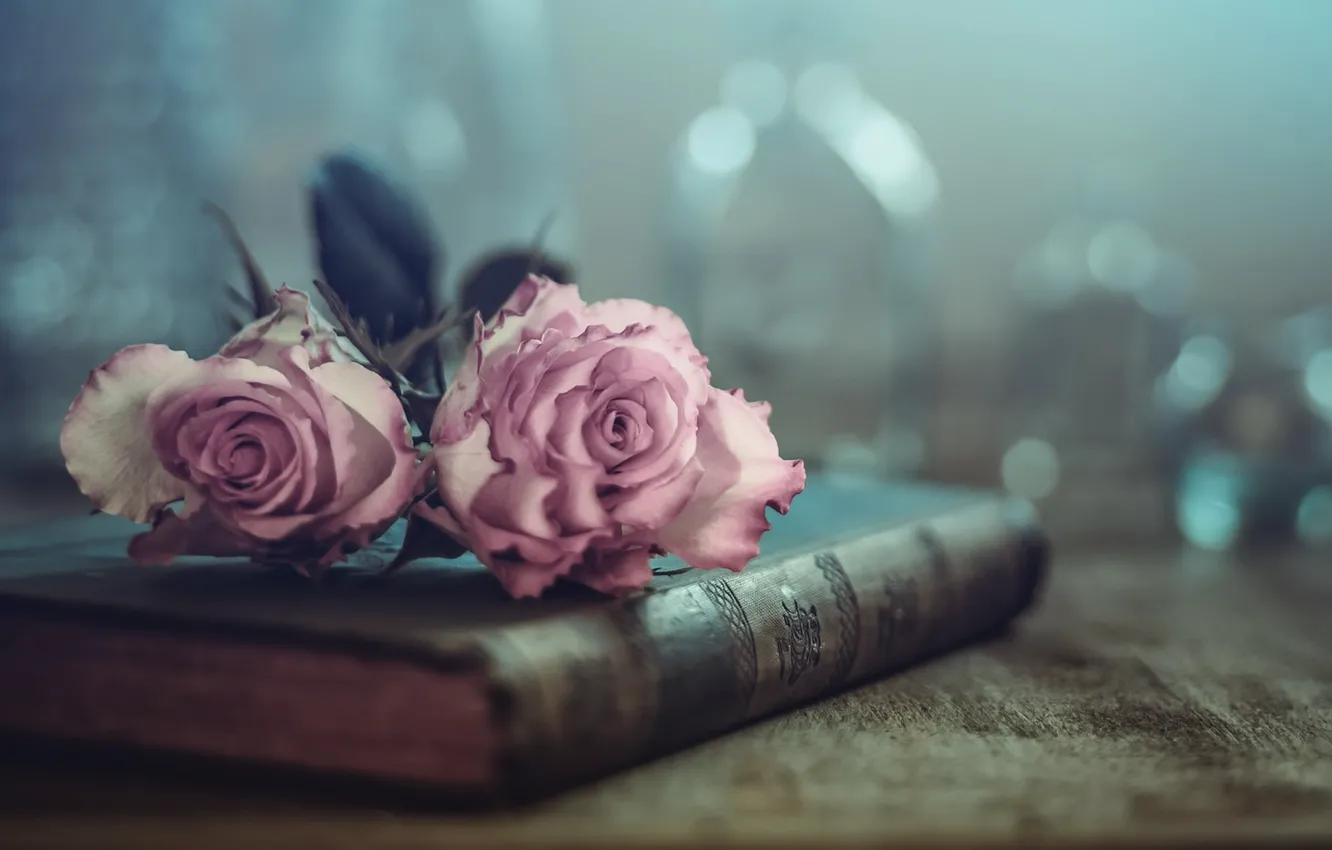 Photo wallpaper flowers, roses, book
