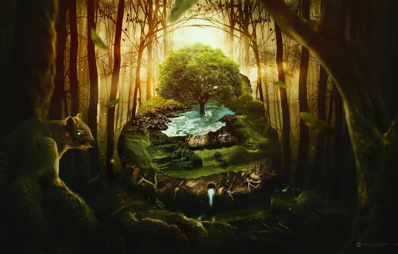 Photo wallpaper forest, water, creative, tree, protein, desktopography