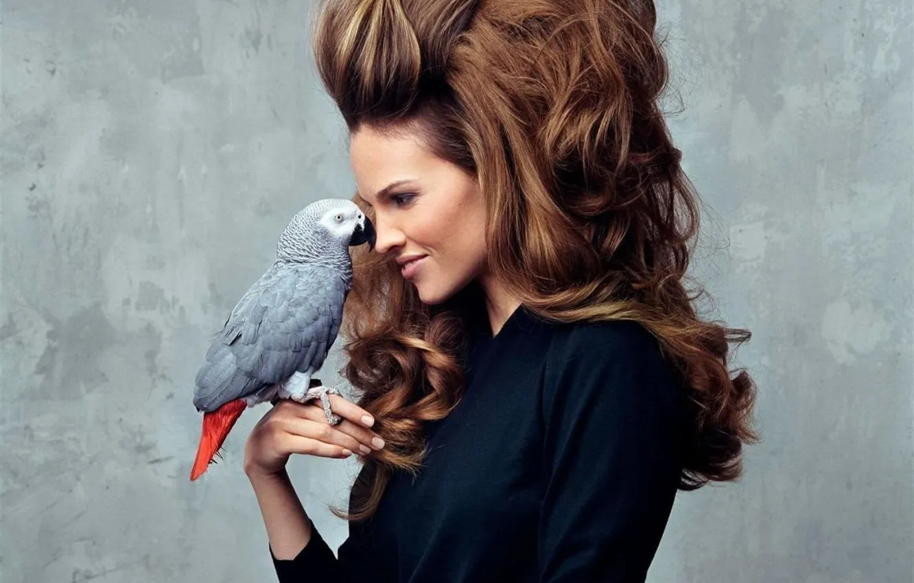 Photo wallpaper hairstyle, parrot, chic, Hilary Swank