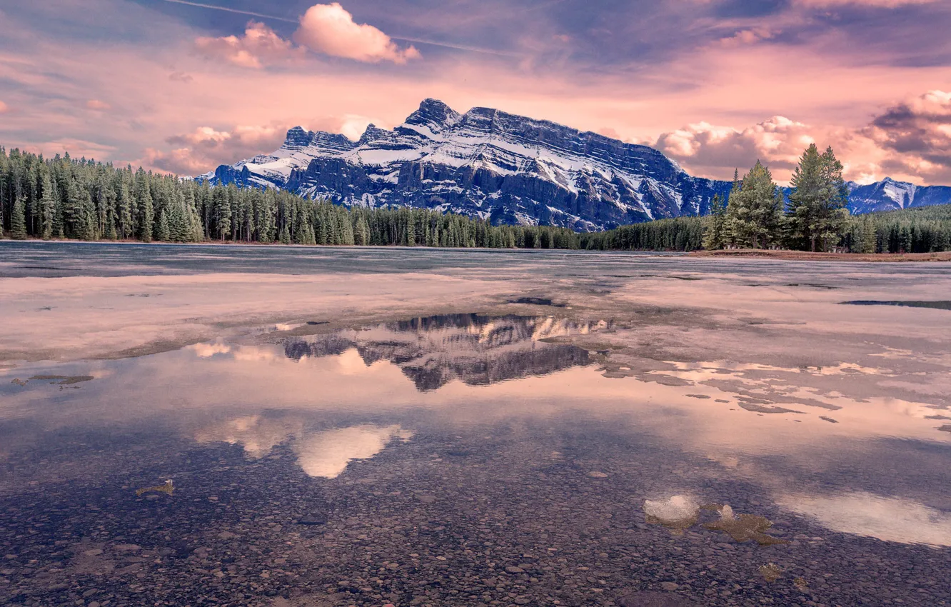 Photo wallpaper forest, mountains, nature