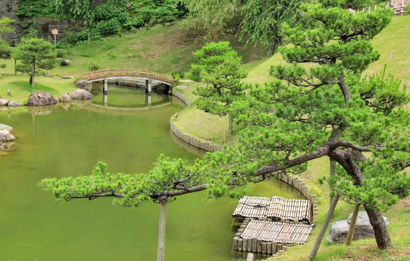 Photo wallpaper lake, Park, Japan