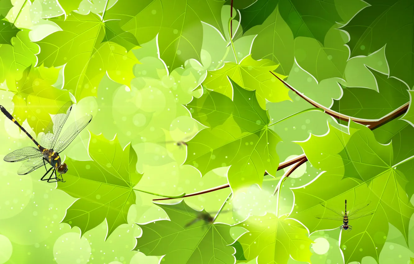 Photo wallpaper leaves, collage, dragonfly, maple