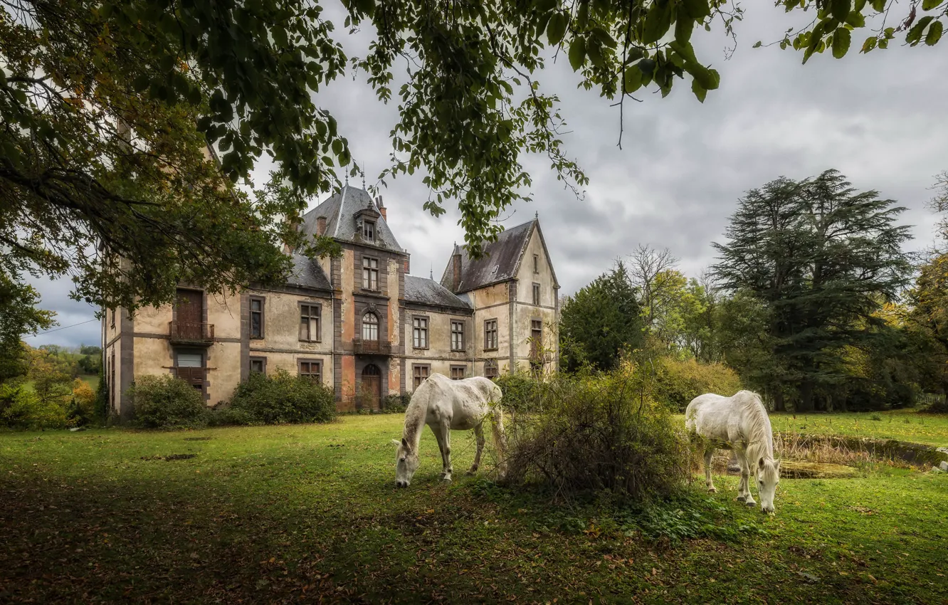 Photo wallpaper nature, castle, horses