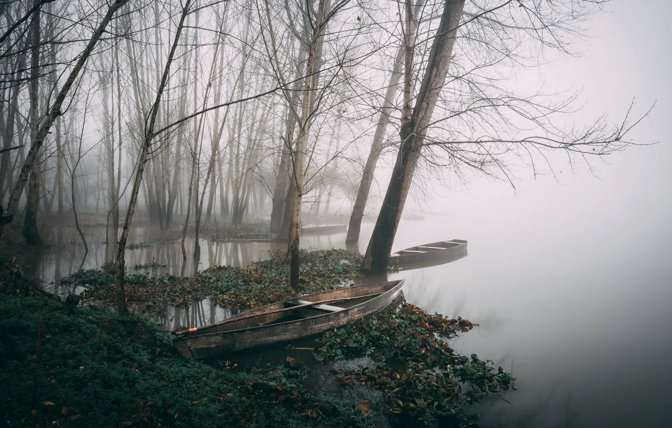 Photo wallpaper fog, river, boat