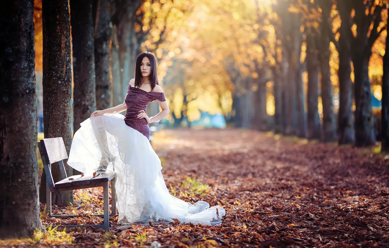 Photo wallpaper girl, Park, bench