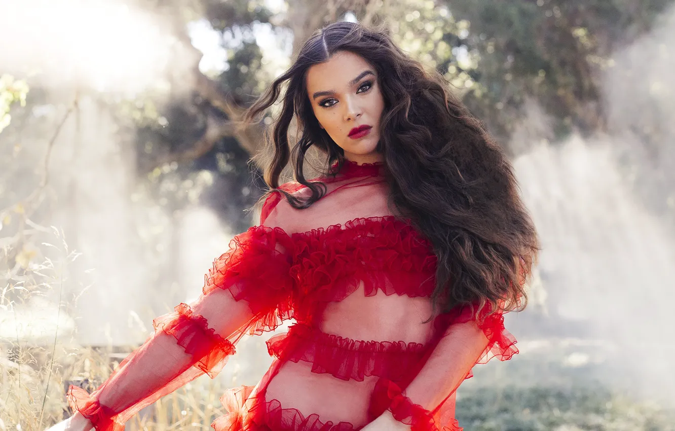 Photo wallpaper look, girl, pose, dress, Hailee Steinfeld