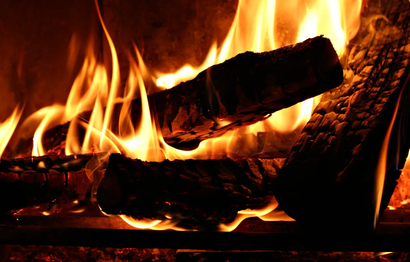 Photo wallpaper heat, tree, fire, the fire, wood