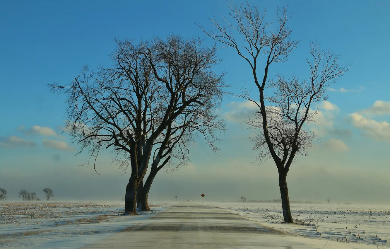 Photo wallpaper winter, road, field, snow, trees, drifting snow