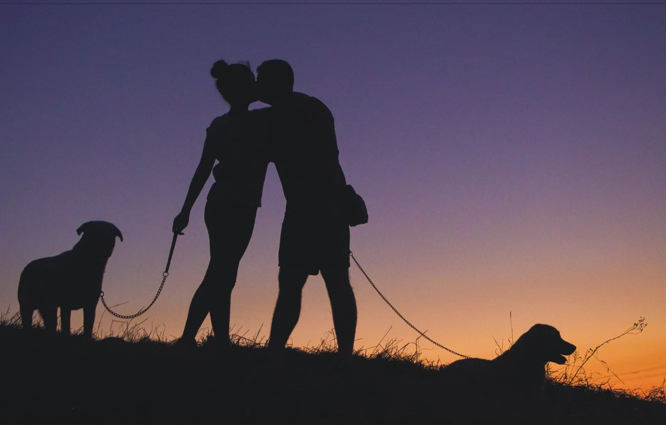 Photo wallpaper love, night, people, kiss, dog, pair, love, different
