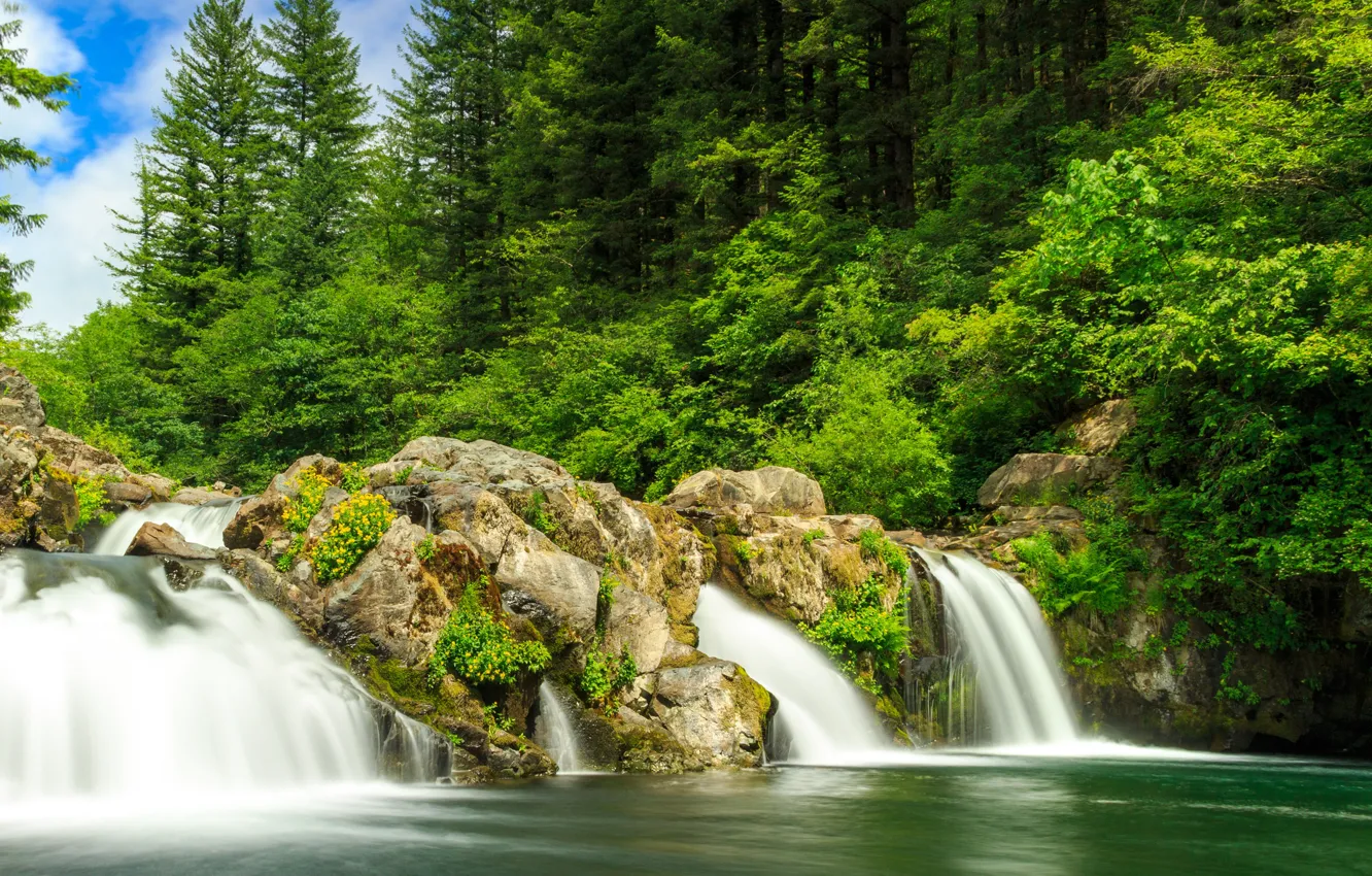 Photo wallpaper greens, forest, the sun, trees, Park, stones, waterfall, USA