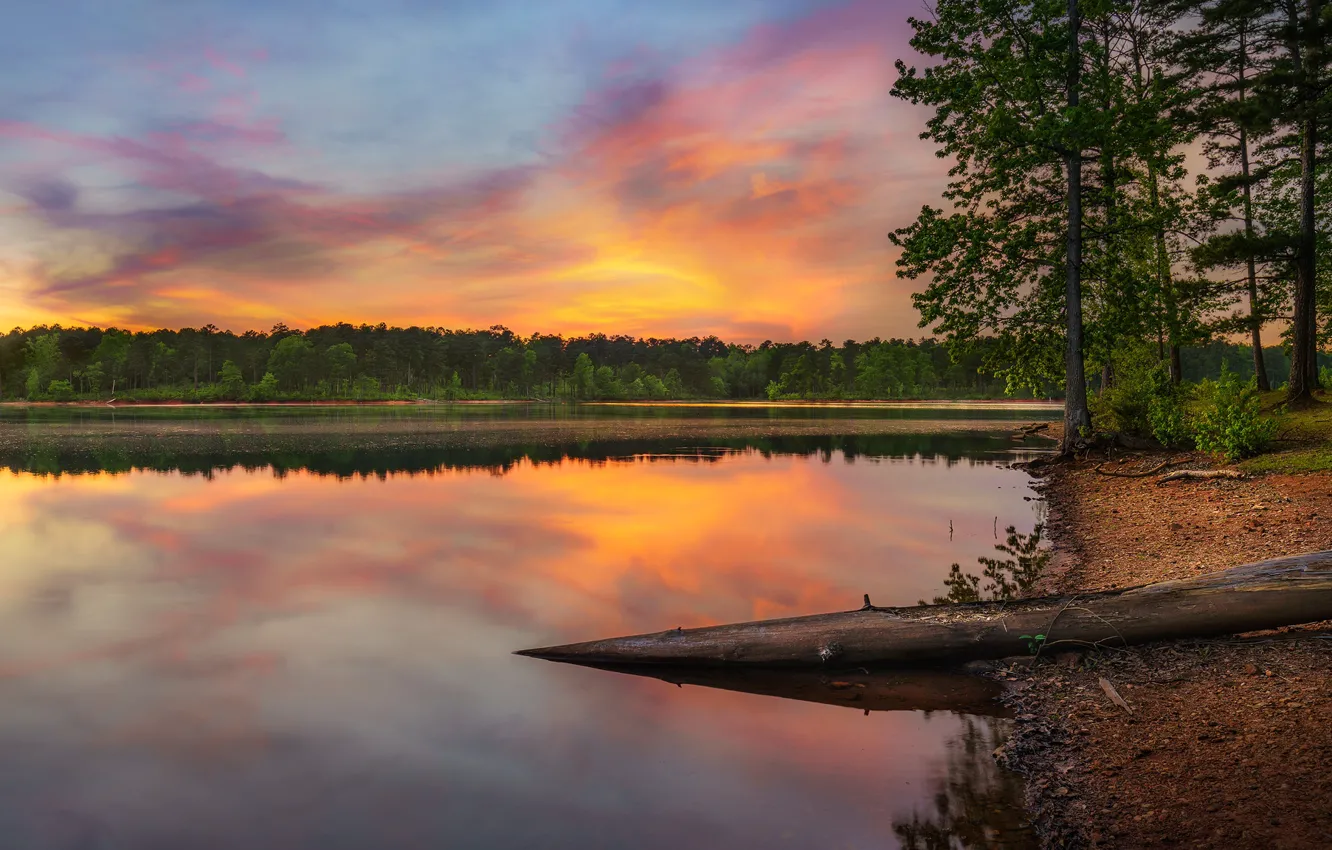 Photo wallpaper shore, the evening, pond