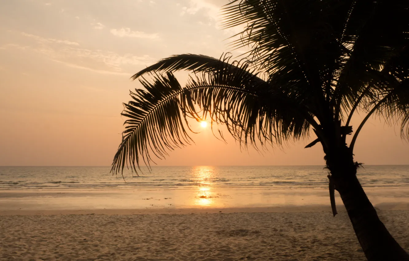 Photo wallpaper sand, sea, wave, beach, summer, the sky, sunset, palm trees