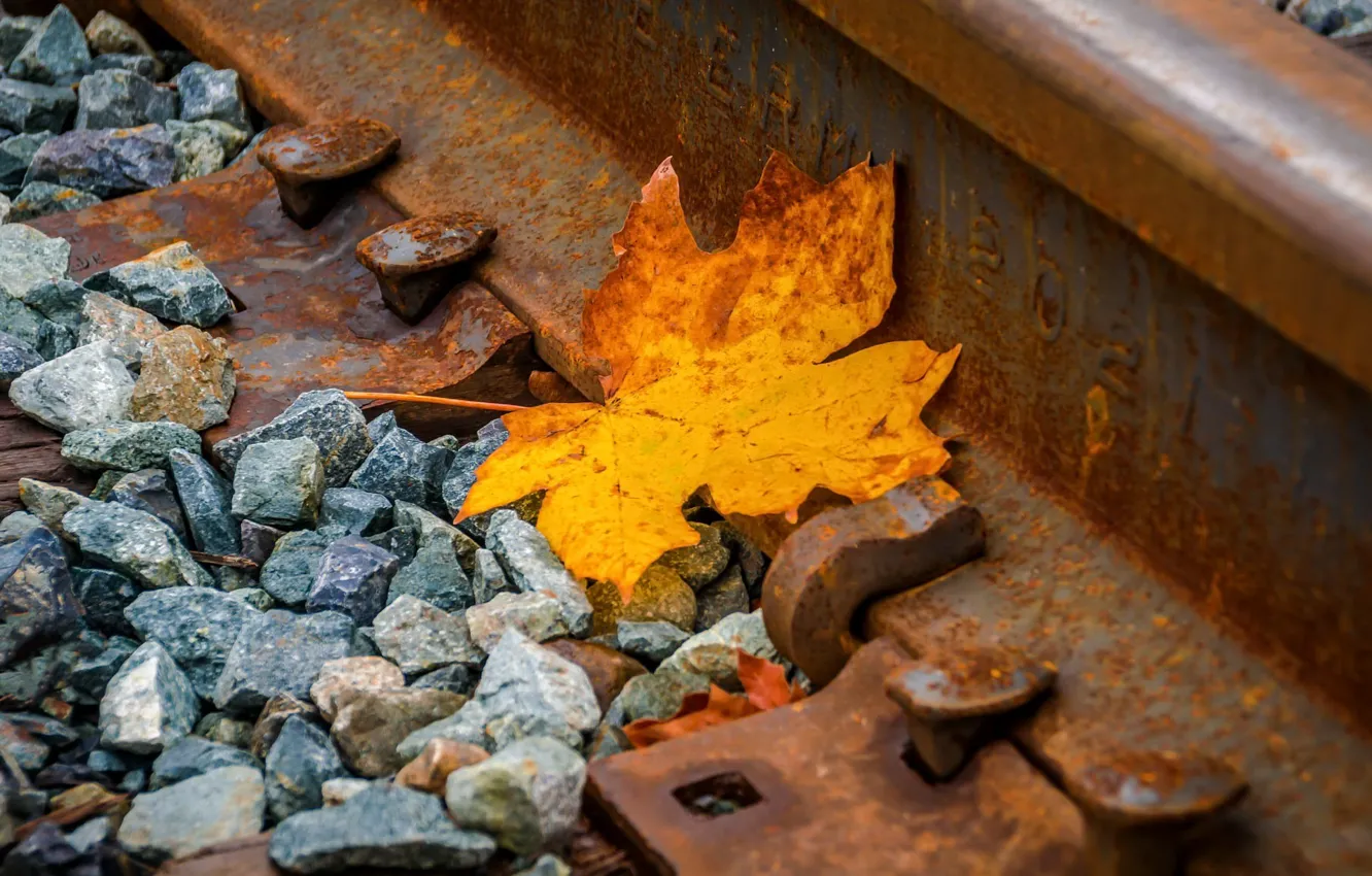 Photo wallpaper autumn, sheet, railroad