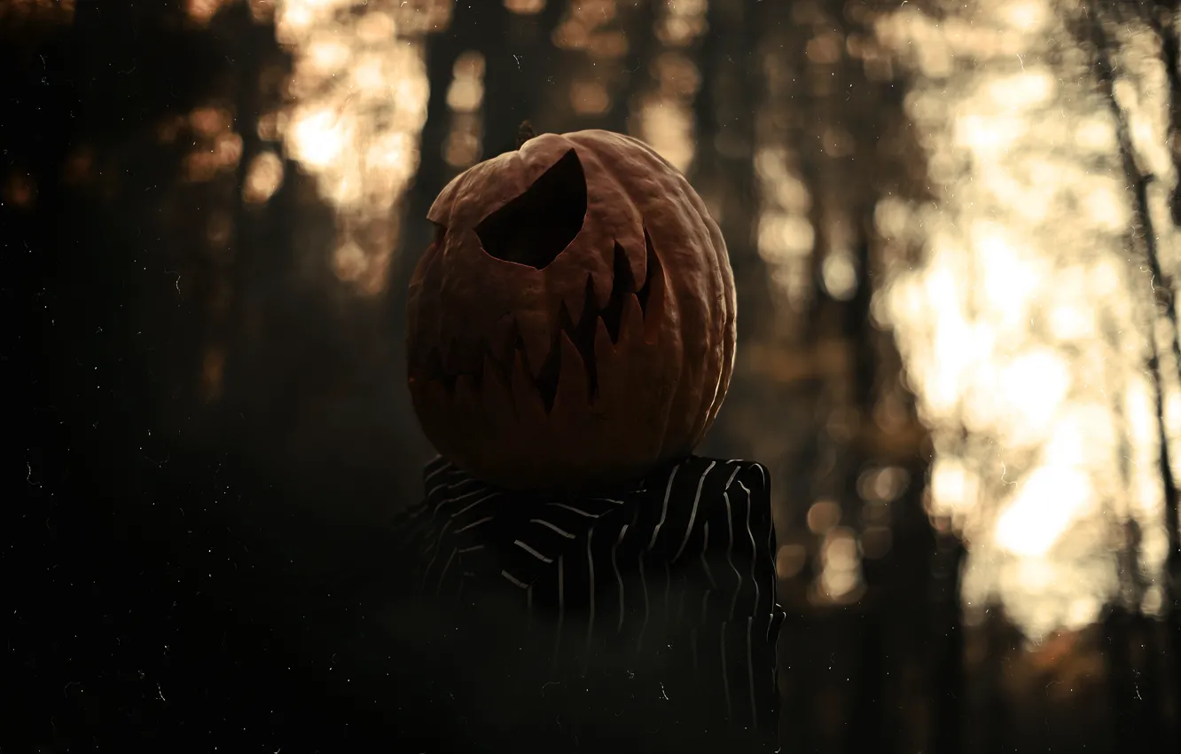Photo wallpaper autumn, forest, girl, nature, pose, the dark background, fear, holiday