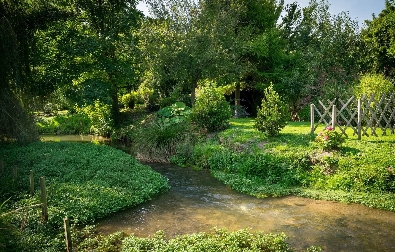 Photo wallpaper forest, grass, river, the bushes