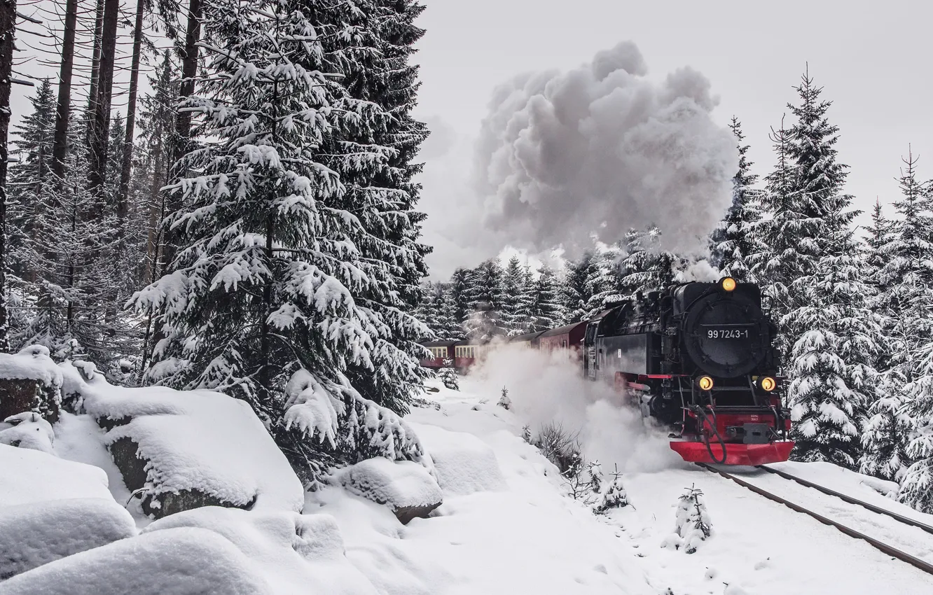 Photo wallpaper winter, forest, train