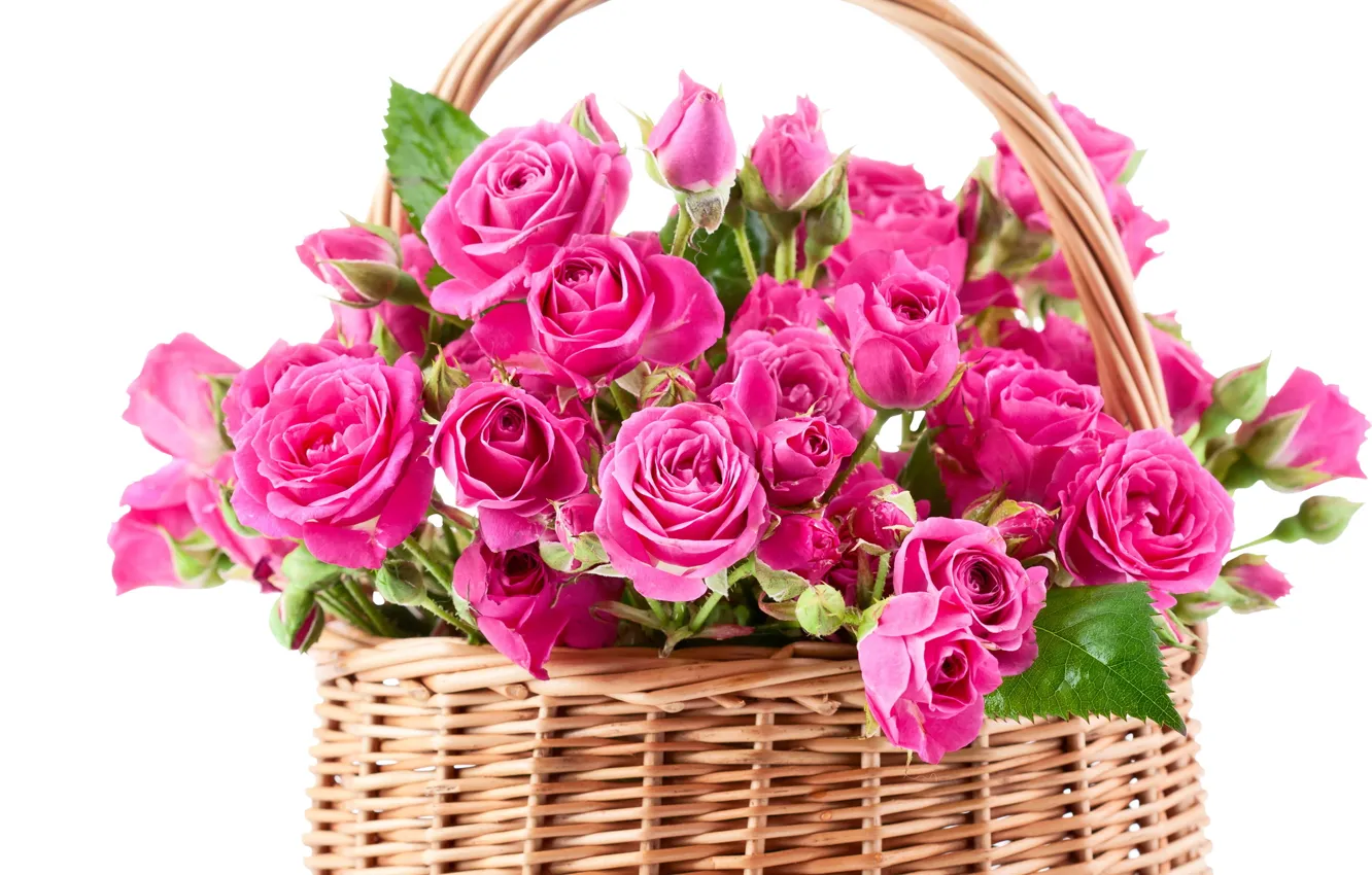 Photo wallpaper flowers, basket, roses, bouquet, pink, beautiful, basket