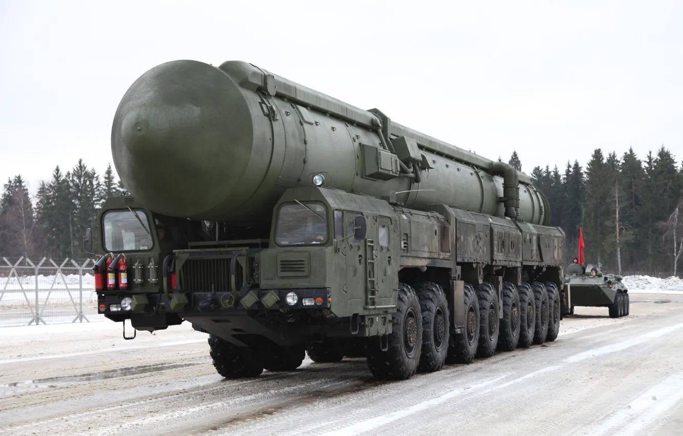 Photo wallpaper poplar, RT-2PM2