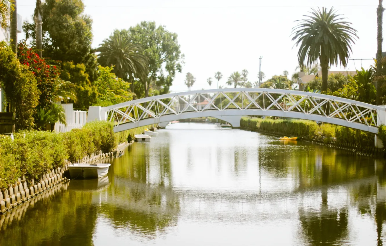 Photo wallpaper greens, water, bridge, reflection, palm trees, boat, channel