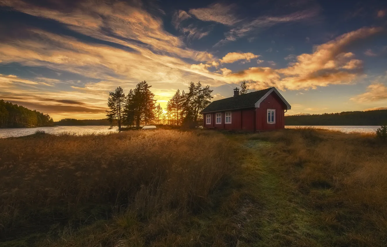 Photo wallpaper light, home, morning