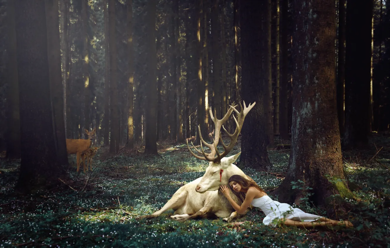 Photo wallpaper forest, girl, deer