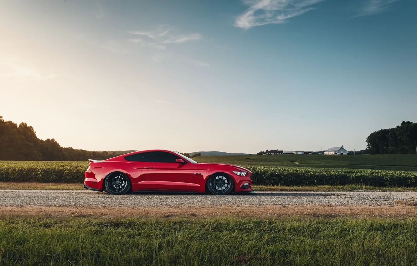 Photo wallpaper Mustang, Ford, side view, 2018, Mustang GT, by Jimmy Zhang