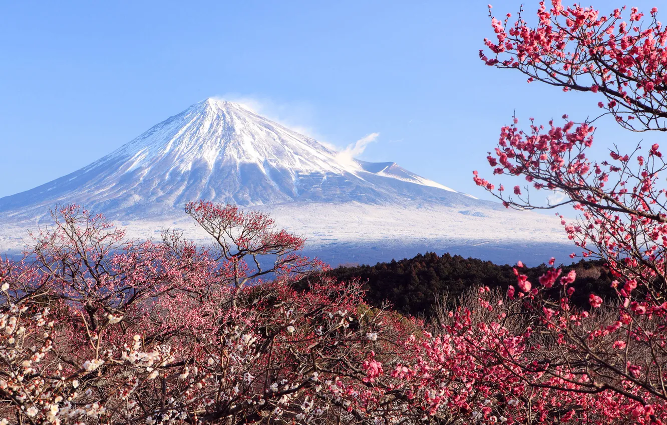 Photo wallpaper landscape, nature, spring, the volcano, Japan, Fuji