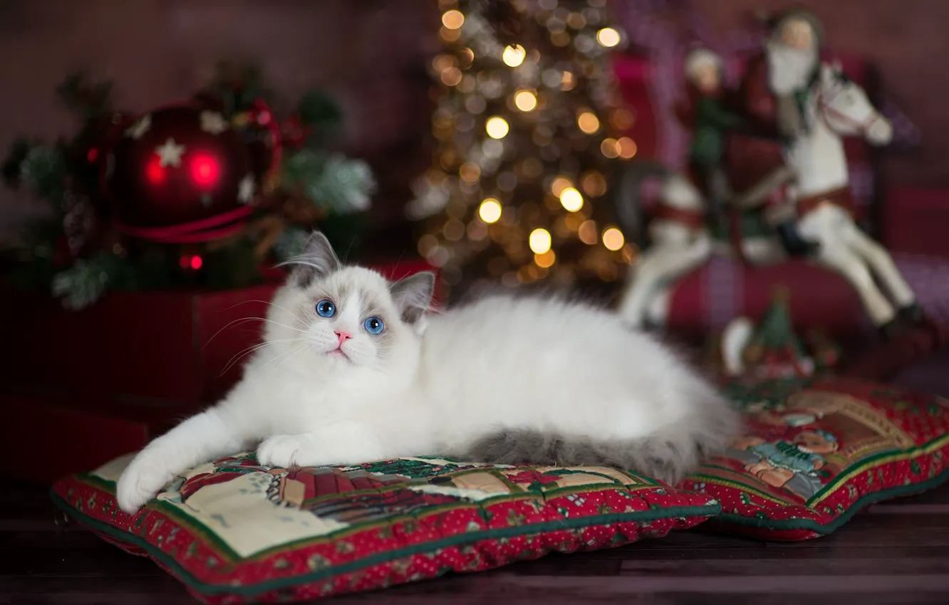 Photo wallpaper cat, lights, kitty, room, toys, new year, Christmas, pillow