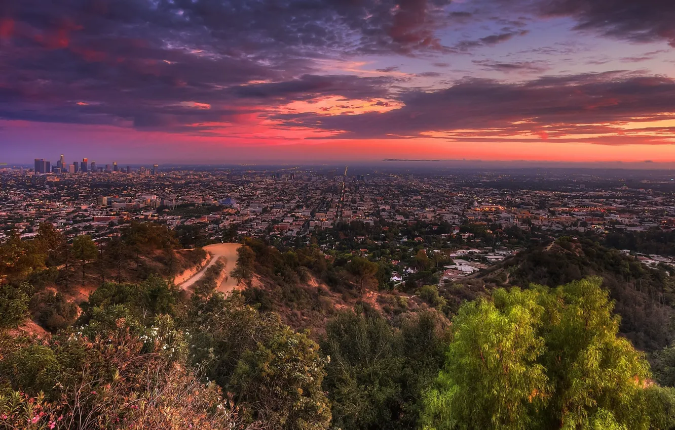 Photo wallpaper road, trees, sunset, the city, lights, home, street, Los Angeles