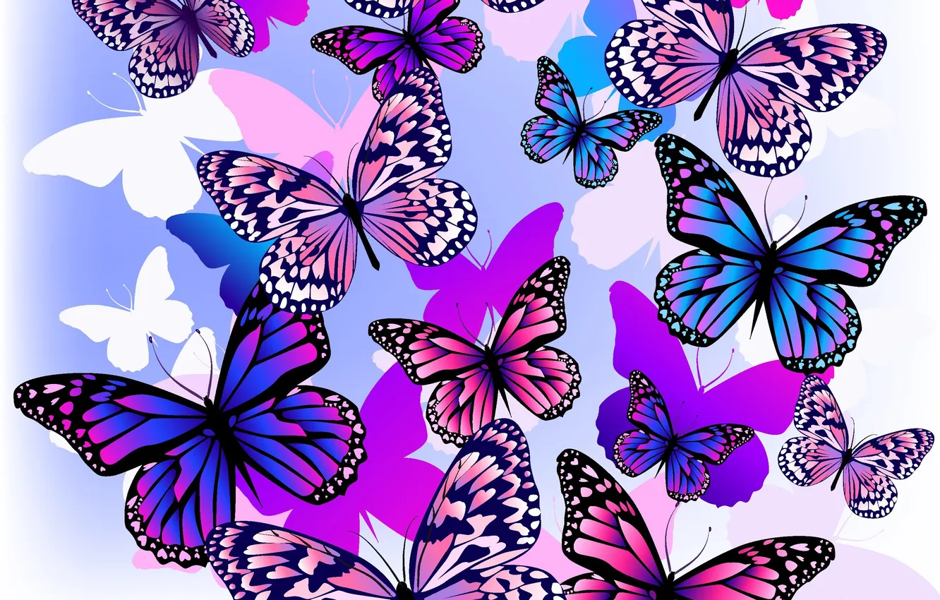 Photo wallpaper flight, butterfly, color, white background