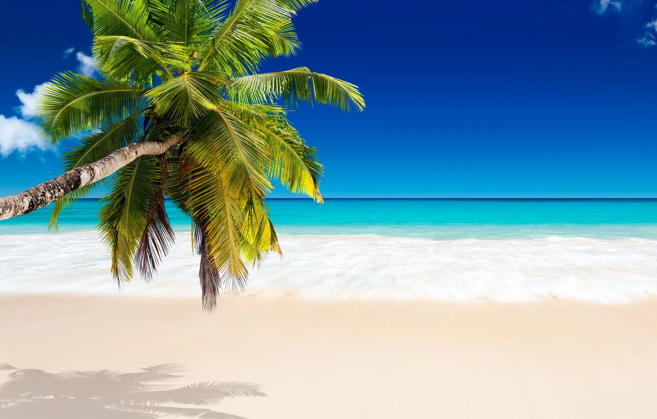 Photo wallpaper sand, sea, beach, tropics, palm trees, shore, summer, sunshine