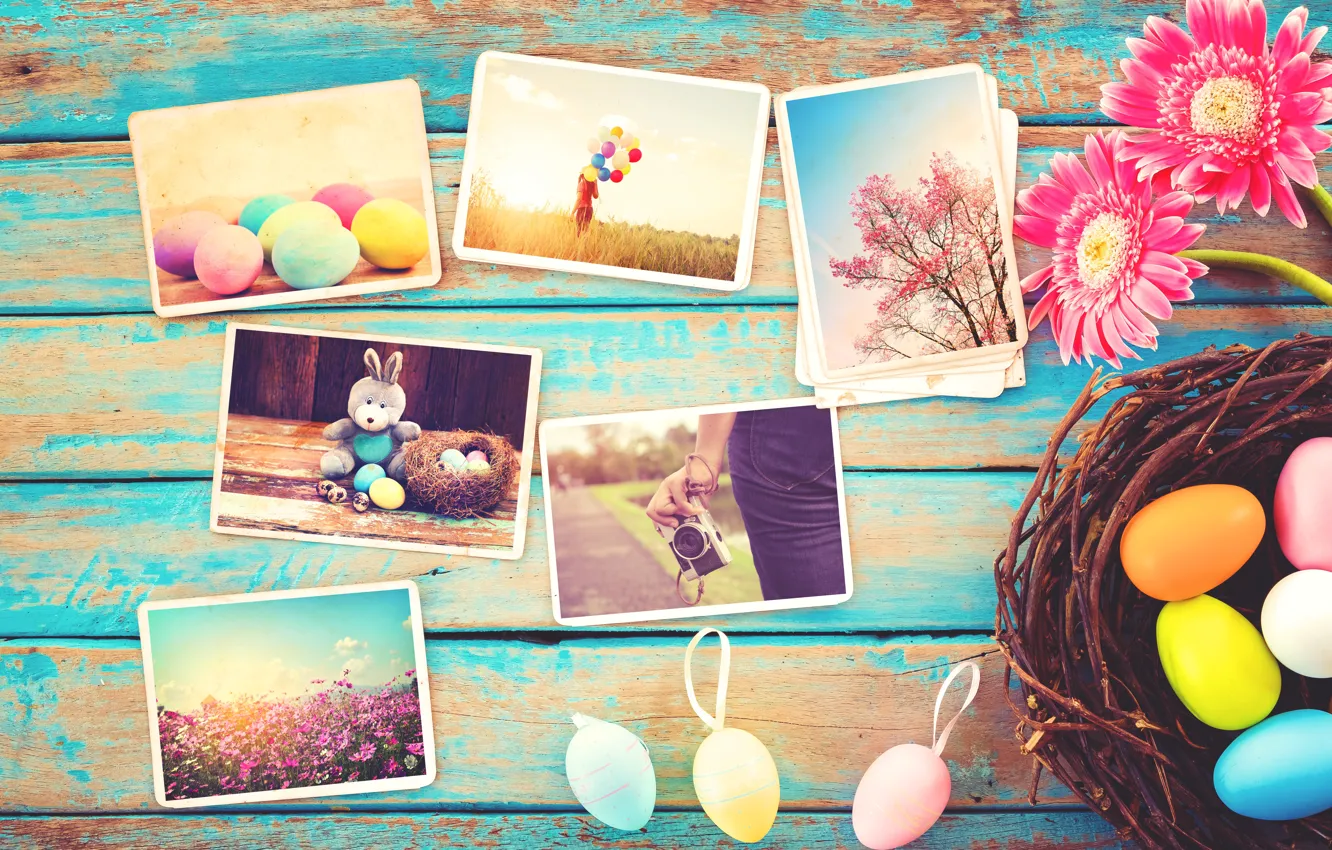 Photo wallpaper flowers, photo, eggs, spring, camera, colorful, Easter, gerbera
