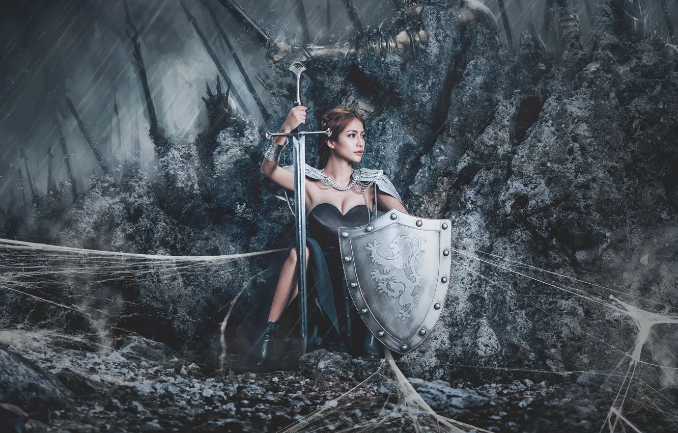 Photo wallpaper girl, sword, shield