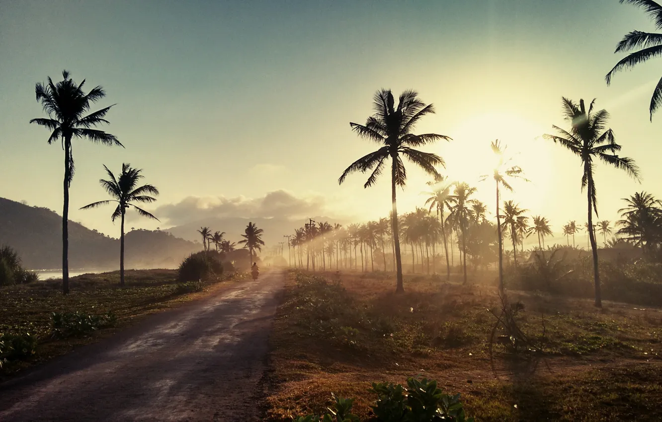 Photo wallpaper road, sky, clouds, sun, palm trees, Asia, palms, Indonesia