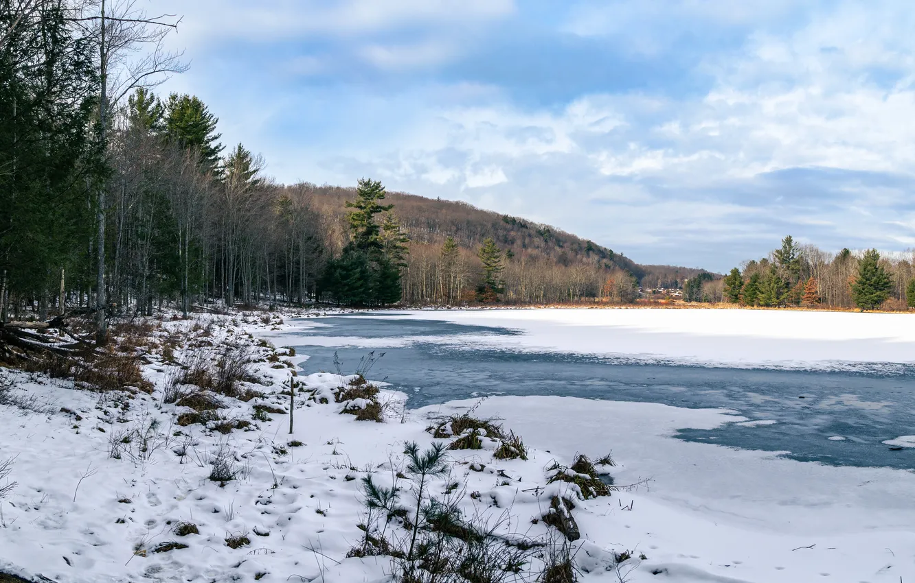 Photo wallpaper forest, snow, mountains, river
