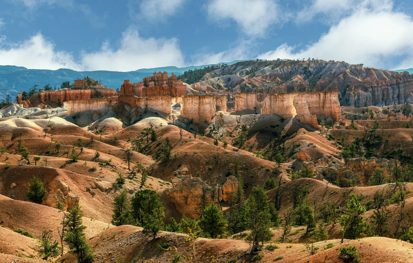 Photo wallpaper mountains, rocks, vegetation, canyon