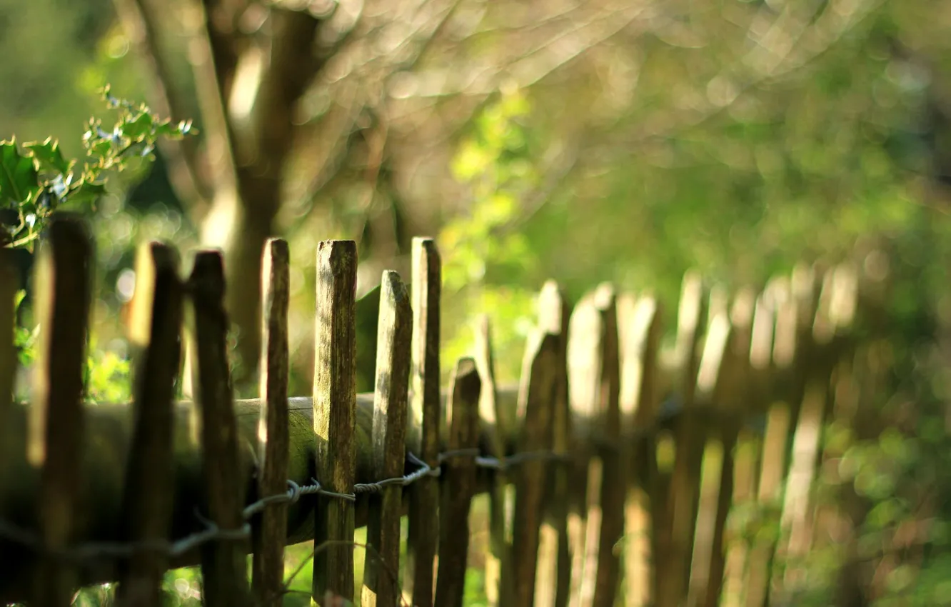 Photo wallpaper greens, leaves, trees, nature, the fence, blur, fence, the fence
