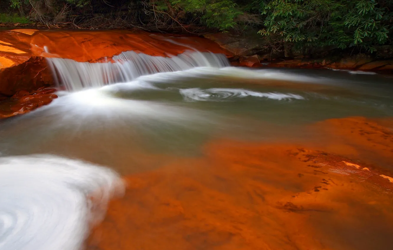 Photo wallpaper forest, river, waterfall, USA, cascade, thresholds