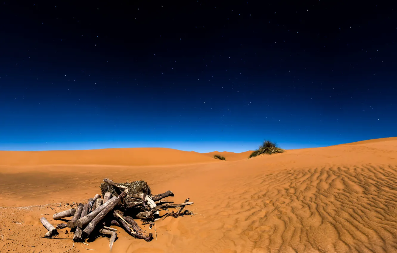 Photo wallpaper sand, the sky, stars, night, desert, Sahara, driftwood, the Sahara desert