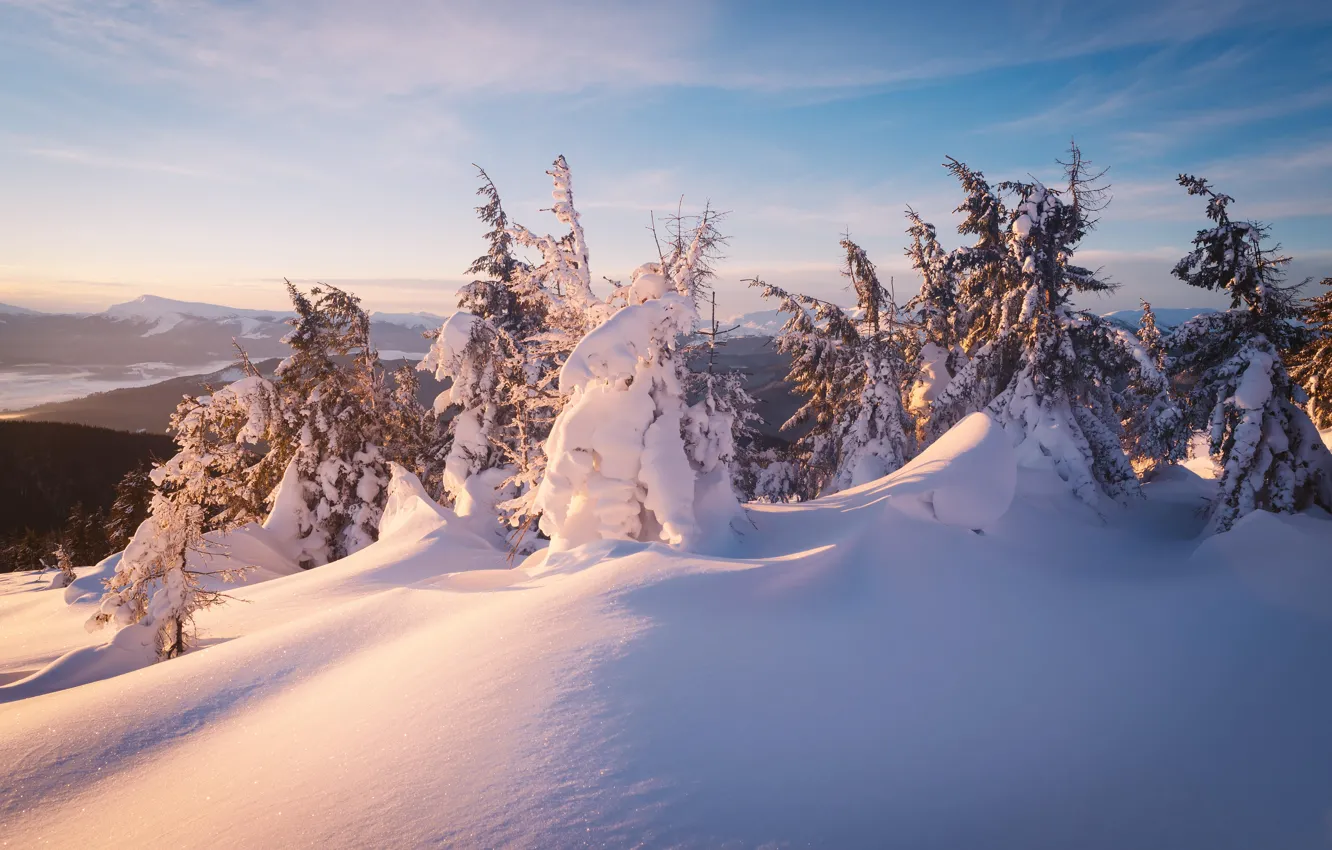 Photo wallpaper winter, forest, the sky, clouds, light, snow, trees, mountains