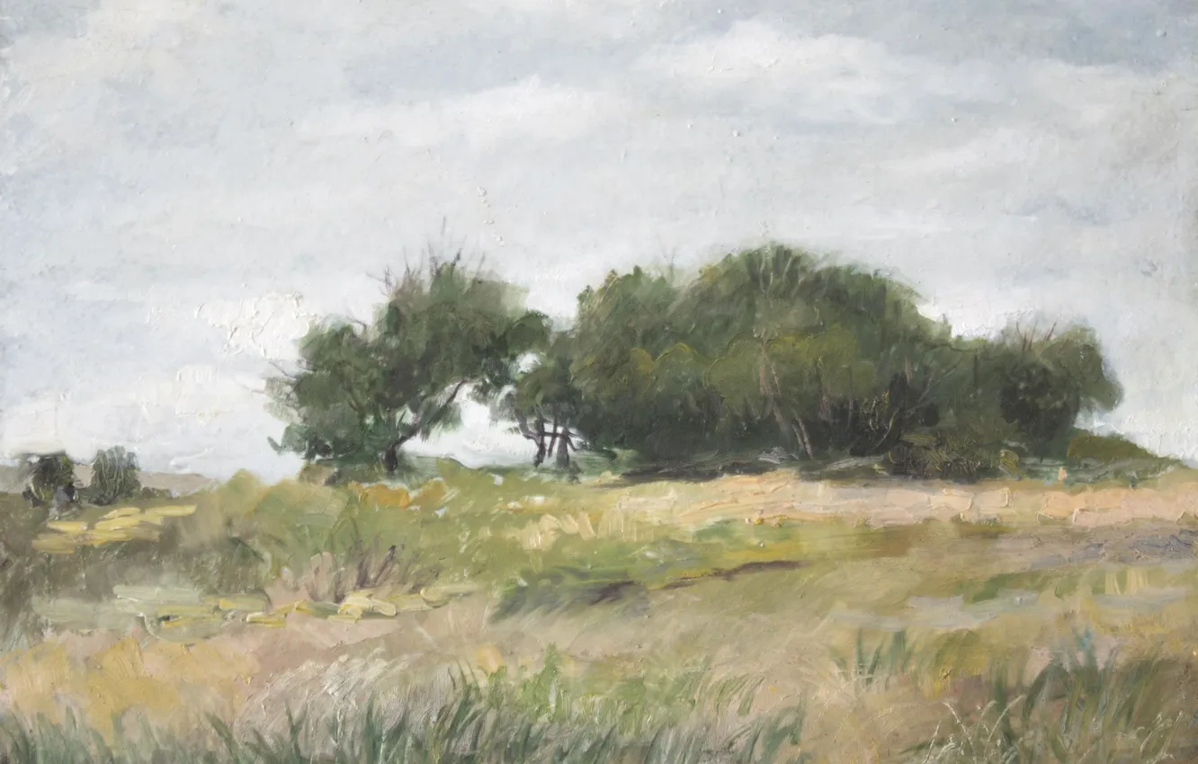 Photo wallpaper trees, landscape, 2008, Aibek Begalin, Spassk