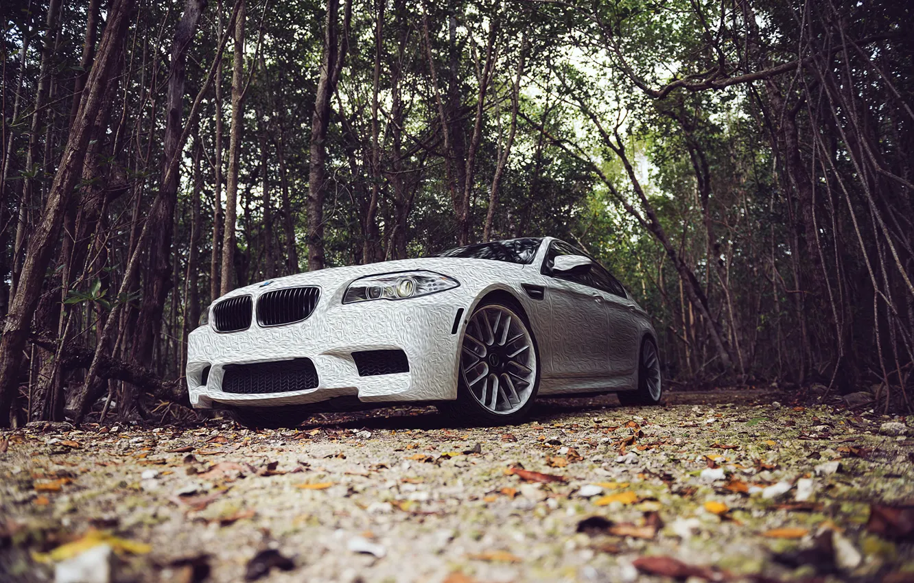 Photo wallpaper BMW, Leaves, BMW, White, Tuning, F10