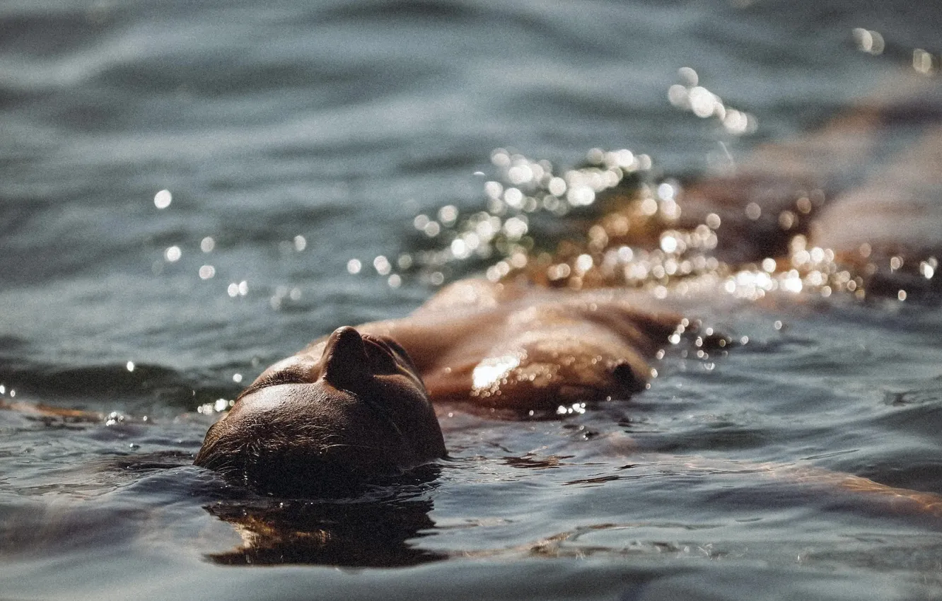 Photo wallpaper water, Glimpses, floats, Clara Dassie