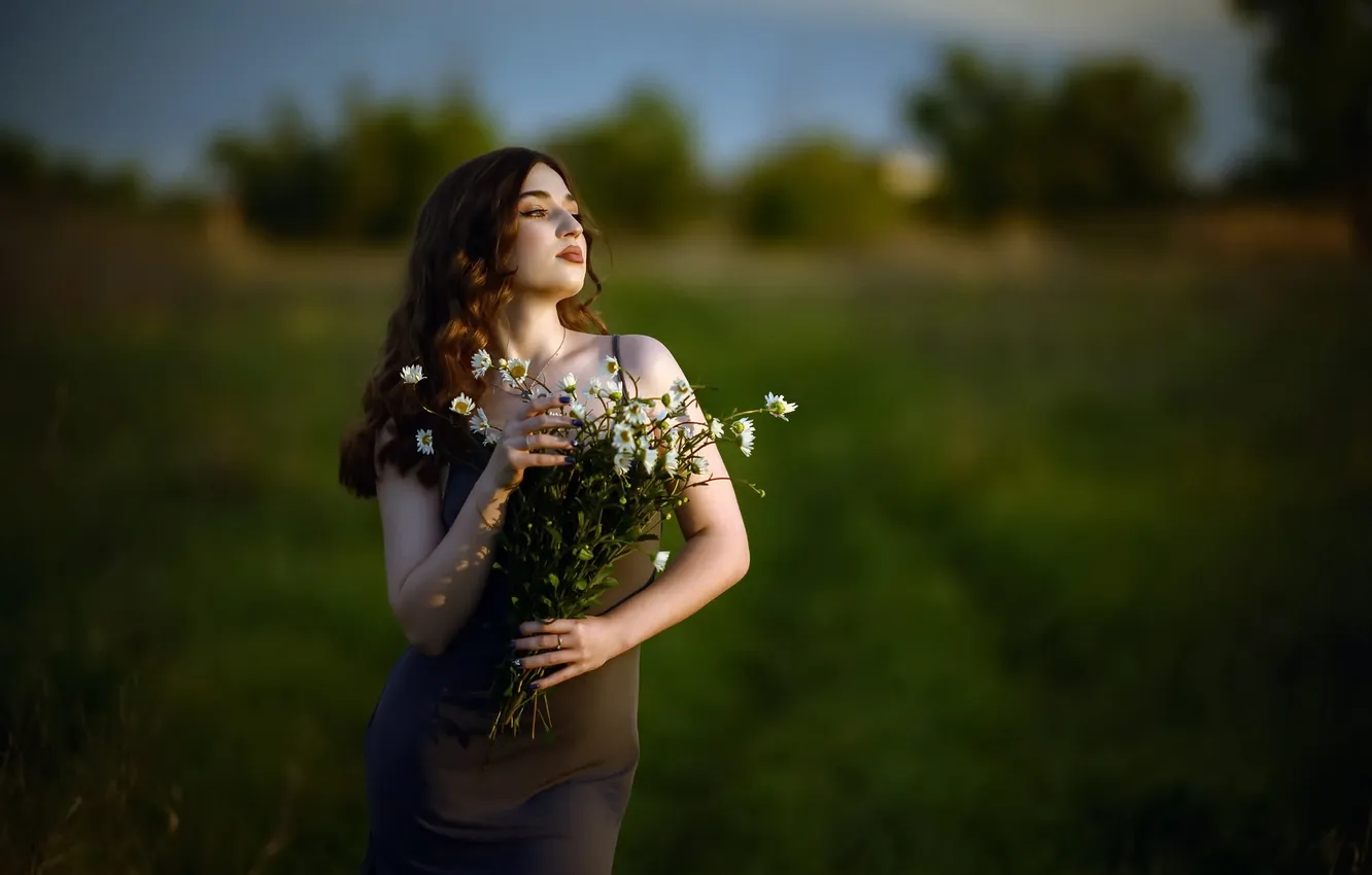 Photo wallpaper summer, girl, chamomile, Aleksander Ross