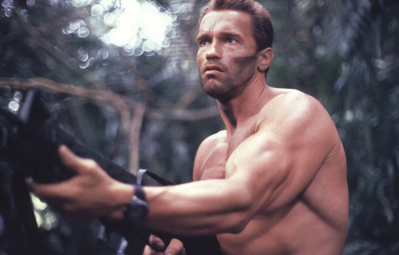 Photo wallpaper man, Predator, Predator, Arnold Schwarzenegger, Arnold Schwarzenegger