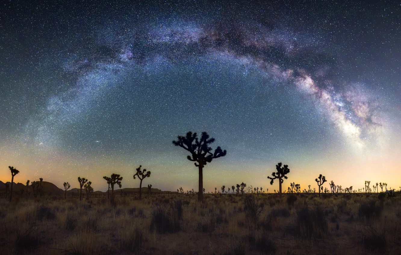 Photo wallpaper stars, night, CA, the milky way, United States, California, Milky Way, United States Of America